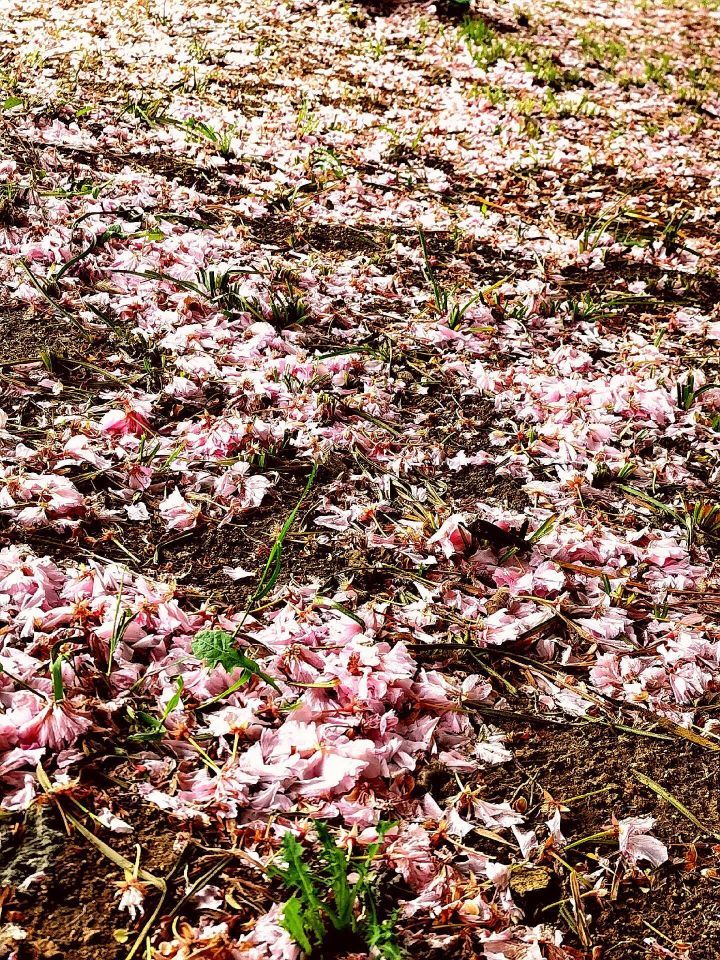 天王盖地虎虎044主播图片