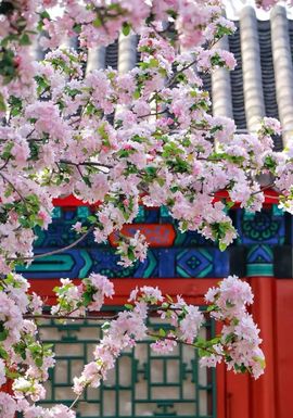 天王盖地虎虎044主播照片