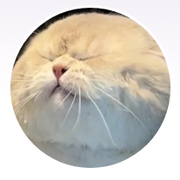 爱是和缺点过日子