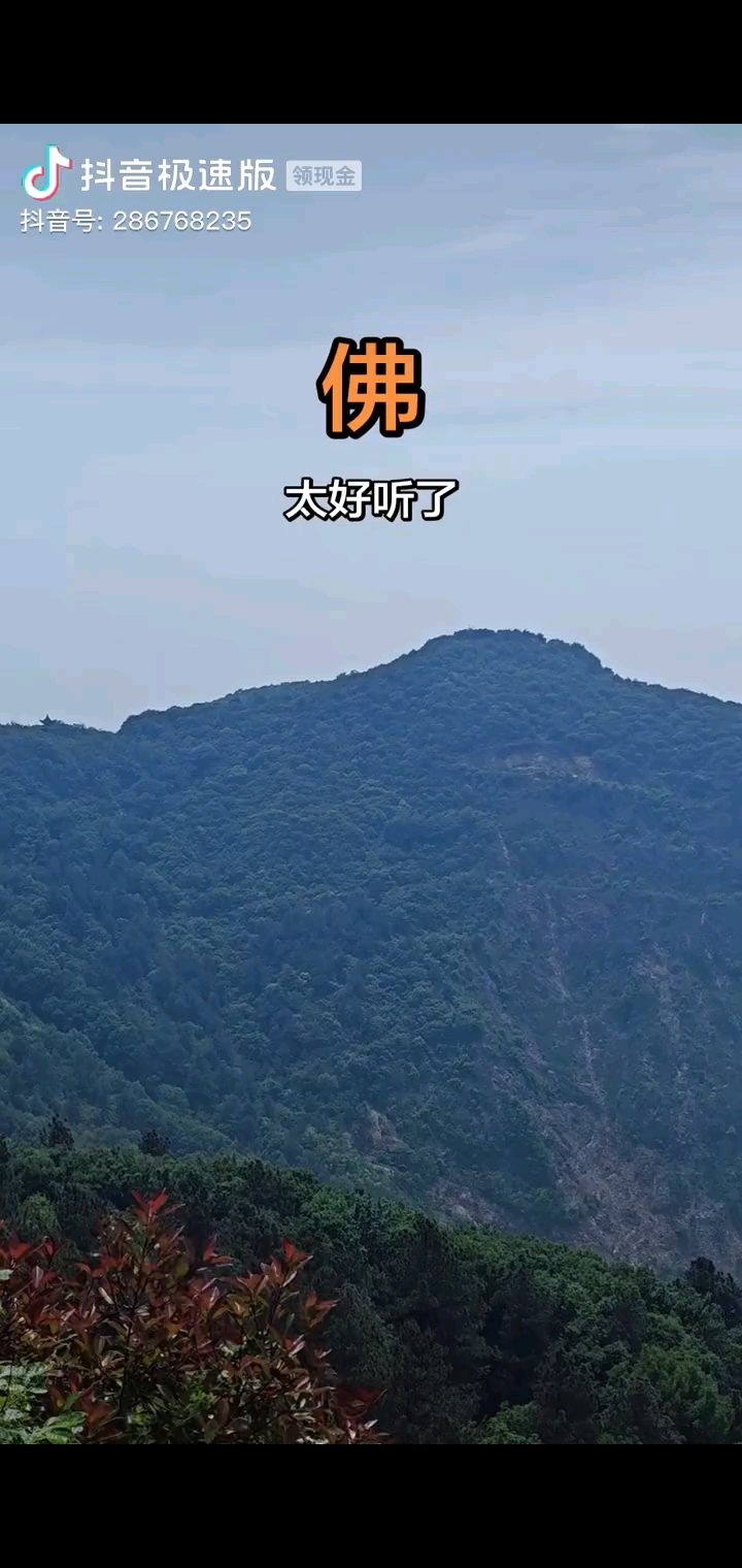 你们学一下这首歌唱好了我送园子
