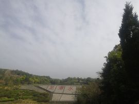 💖十六阿哥海上漂主播照片