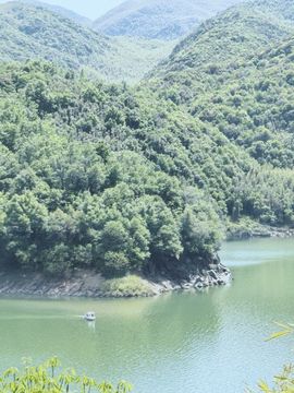 ♛花香染晨♛的图片