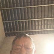 看电影的两头蛇