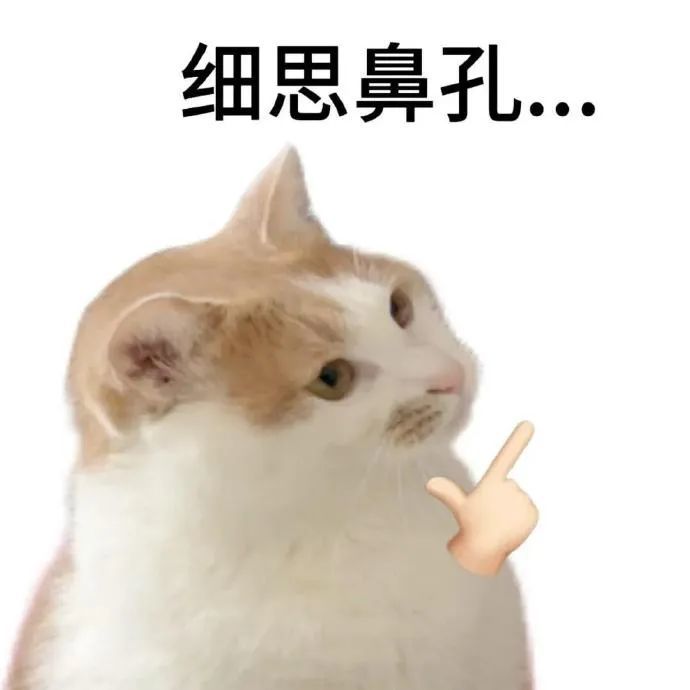 新人灵灵七主播图片
