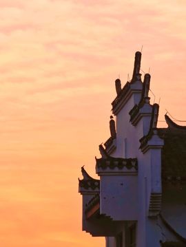 我是自由啊的图片
