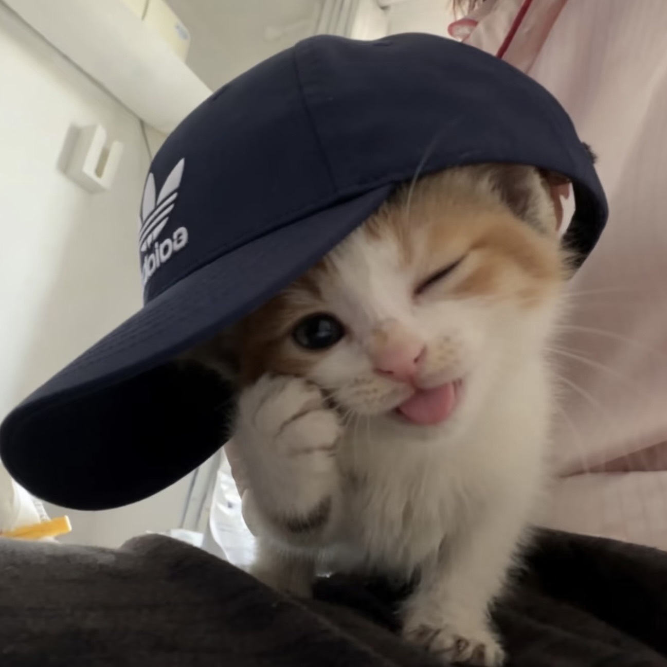 小樱宝宝^o^主播图片
