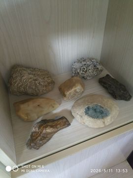 杀止若的图片