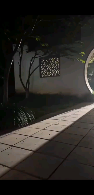 观看10次