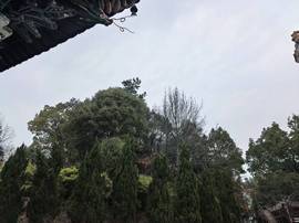 阿泽以歌会友💞的图片