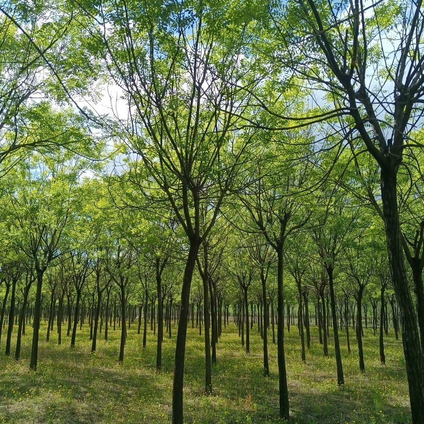 ❤️天宝❤️的主播照片