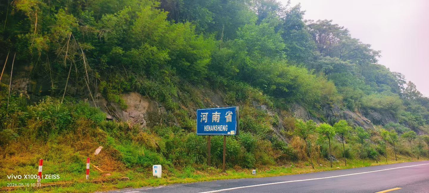 河南妞妞主播图片