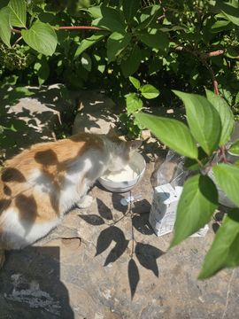 念念念念念念念念念主播照片