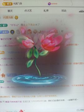 新人小柔u点凶主播照片