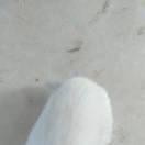 丁晓宝