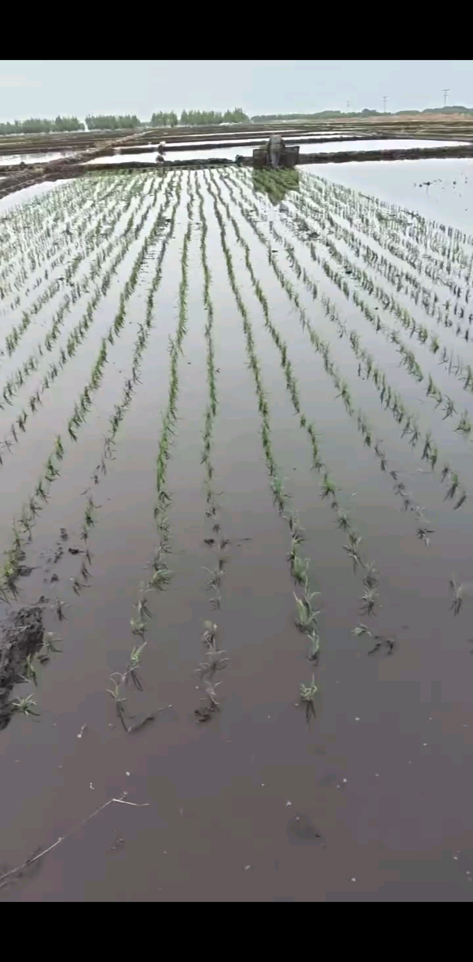 观看1次