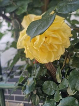 念念念念念念念念念主播照片