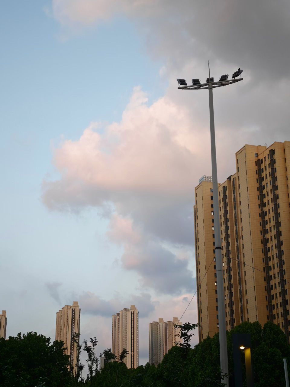 晴儿不连麦的图片