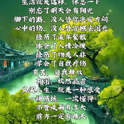演讲的椋鸟☣