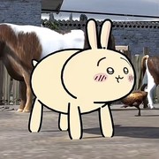 八音盒8号