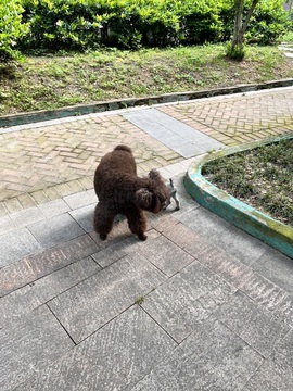 七克灵魂主播照片