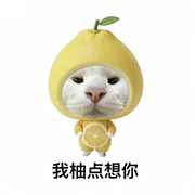 小柚柚😊