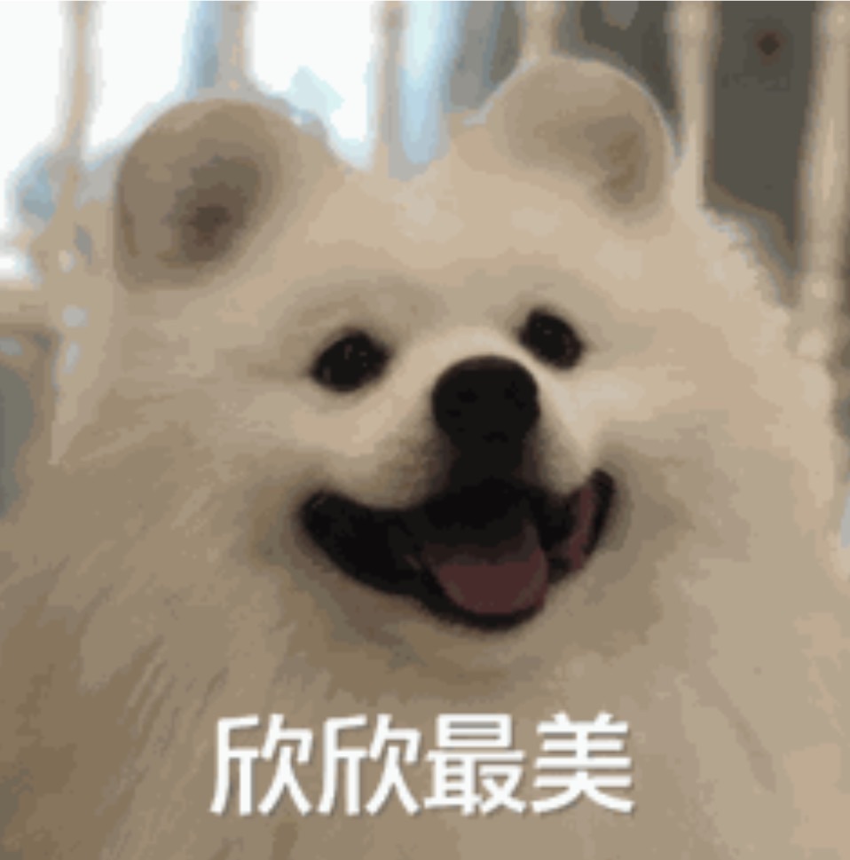 欣欣子。的主播照片