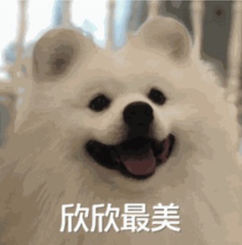 欣欣子。主播照片