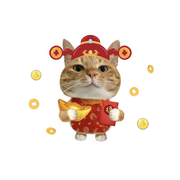 新人~芊芊儿