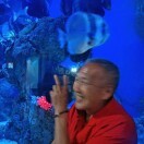 老李：春天太阳的头像