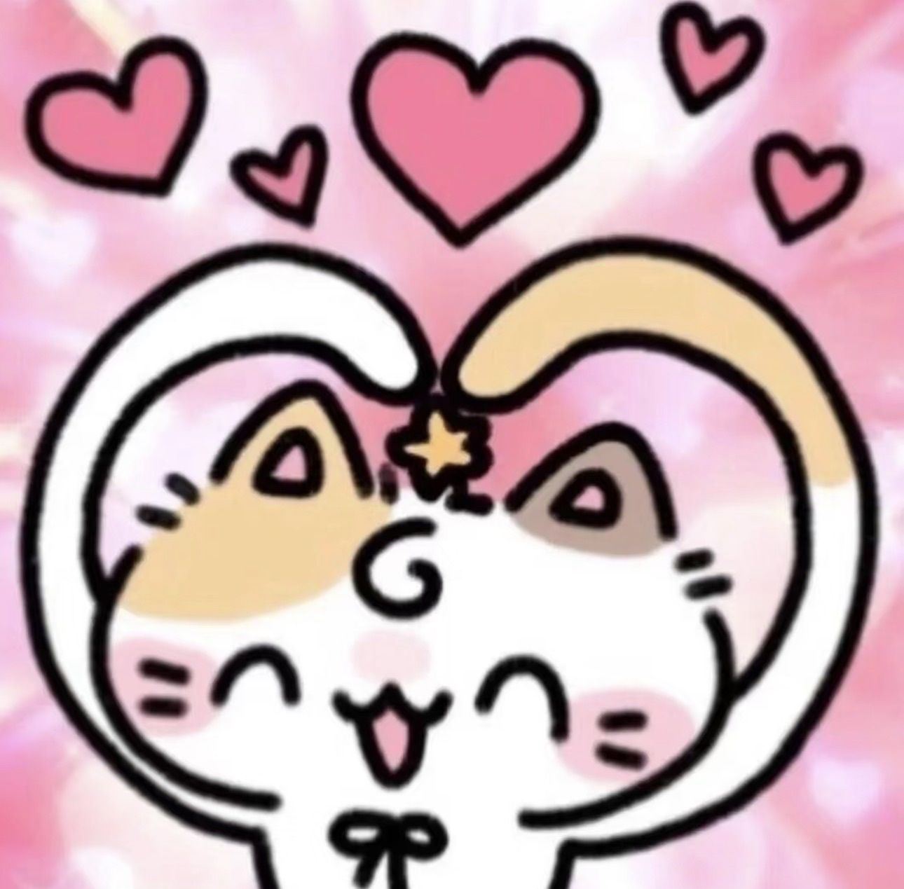湘湘贺猫猫🐱升级主播图片