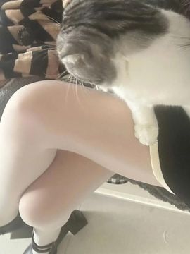 ꕤᴗᴗ)💕圣瑶主播照片