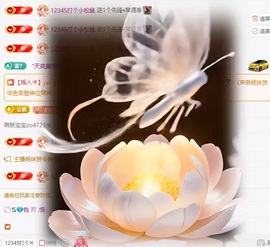 锦鲤小Q谢哥哥接生～主播照片