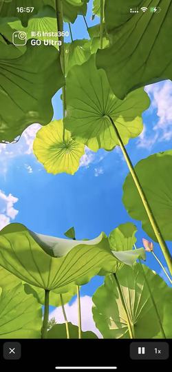 恩熙；贺淡定哥帝君哦主播照片