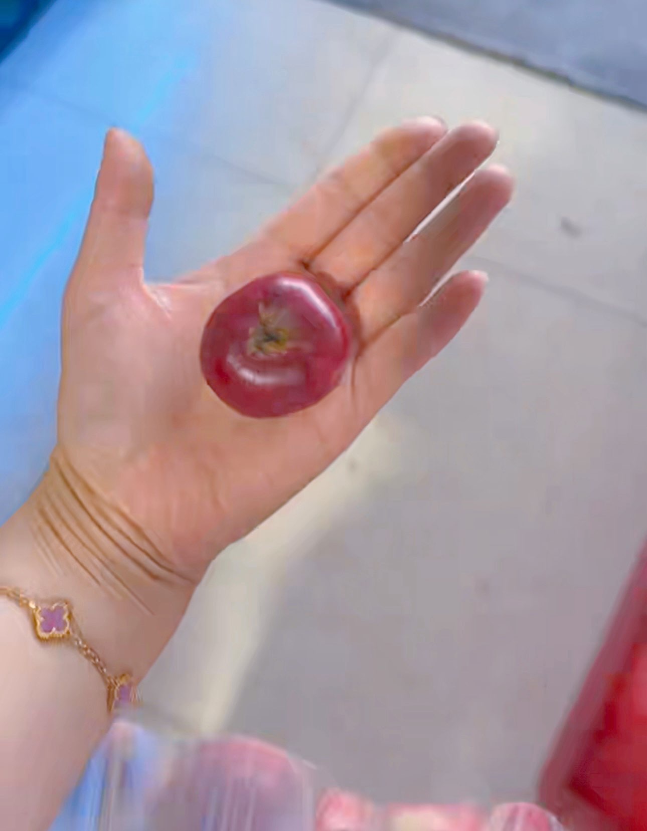 🎵小邓丽君🌺溪儿的主播照片
