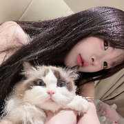 骑老奶过马路