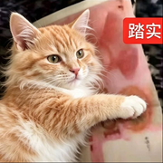 大窝囊
