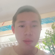 ヅ勇敢蓝极乐鸟ヅ的头像