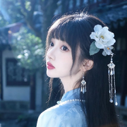 毛驴子🍎啥活都接！