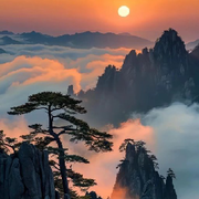🌸梁山伯与茱丽叶