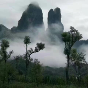 没币了啥也不是