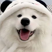 不敢呼吸丶