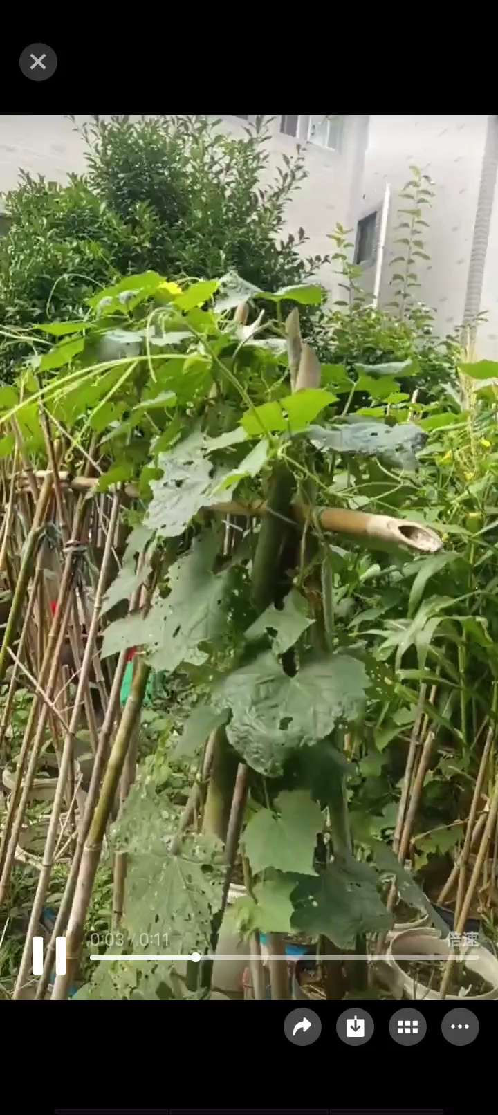 一代传一代 只有相互