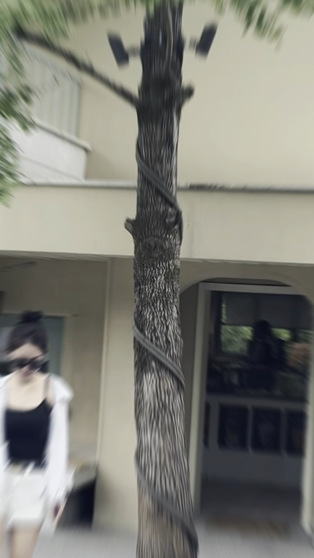 茶 几经翻滚见质 人