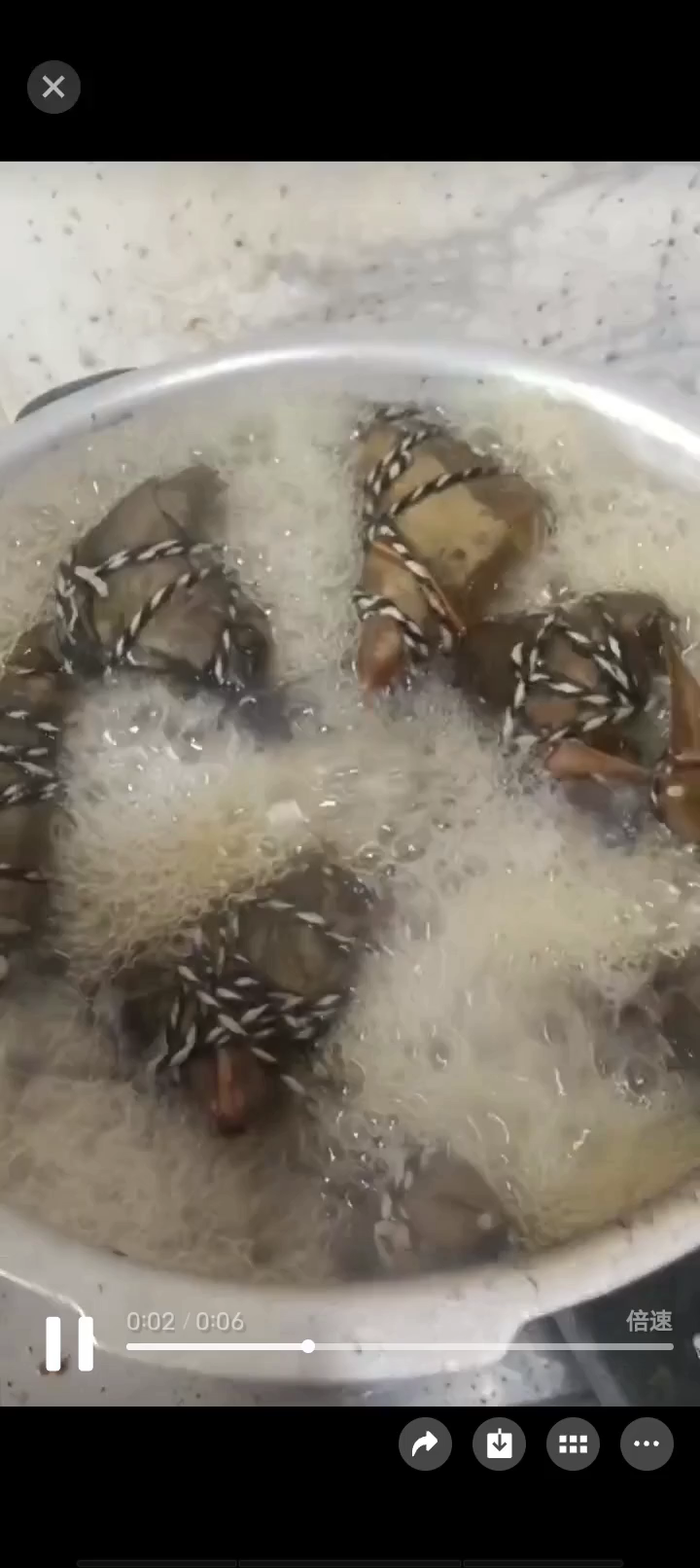 继续煮