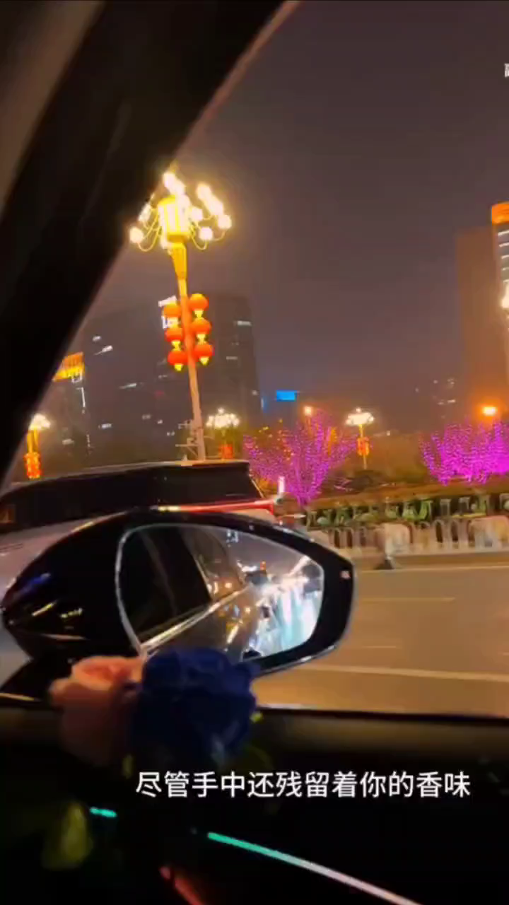 后视镜里的霓虹在流动