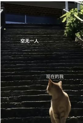 陶影影🌈🌈🌈的图片