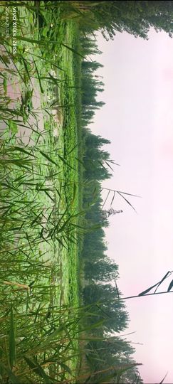 妞妞在江西的图片
