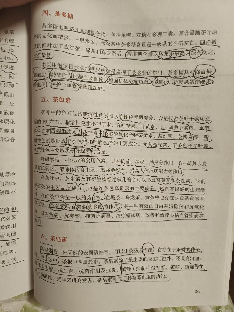 茶茶贺封印哥荣升大神主播图片