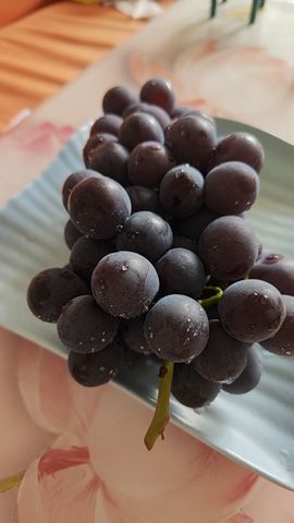 婷婷💕感恩有你陪伴的图片