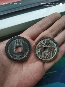 杀止若的图片